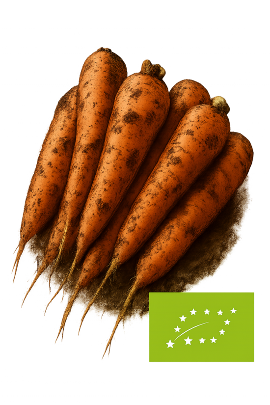 Burkāni ''RODELIKA'' bio